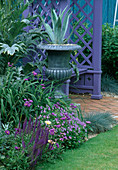Blauer Zaun, mauvefarbener Holzsitz, mit Agave Americana und Kardonen bepflanzte Zinnurnen