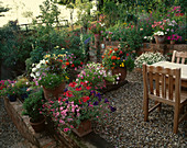 Gartenmöbel umgeben von Petunien, Impatiens, Pelargonien in Containern