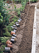 Graben ausheben um Buchshecke zu pflanzen