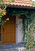 Hedera helix at the house entrance