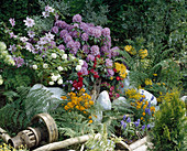 Rhododendron arrangement