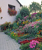 House with various annual plants