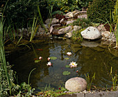 Kleiner Teich mit Bachlauf