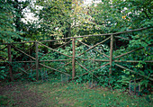 Plain fence made of branches