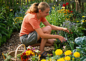 Monika schneidet Bauerngartenblumen für einen üppigen