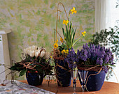 Spring arrangement with tulips, grape hyacinths and daffodils