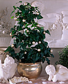 Ivy on a trellis in the shape of a fir tree decorated with small white Christmas balls