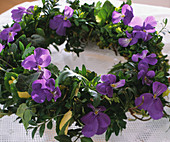 Plate wreath with horned violets, box and ivy
