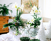 White Christmas: Flower arrangement with amaryllis