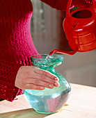 Growing hyacinths on a water glass