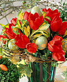 Tulips, Euonymus