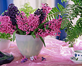 Hyacinthus orientalis