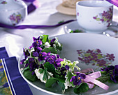 Plate containers with fragrant violets and white-coloured Hedge maids