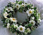 Plate wreath of primrose flowers, box and white-coloured Hedge maids