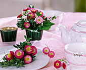 Bellis as table decoration