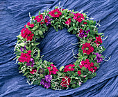 Wreath of Verbena hybr. (verbena)