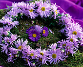 Wreath of autumn asters