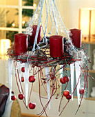 Ceiling Advent wreath: twining clematis vines and cornus twigs