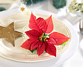 Table decoration with Euphorbia pulcherrima (poinsettia)