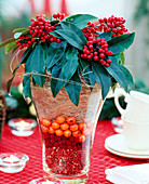 Skimmia japonica, weihnachtlich dekoriert