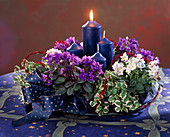 Advent wreath with Saintpaulia (African Violet)