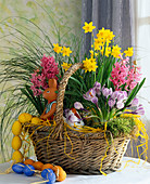 Basket with hyacinths, daffodils