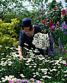 Woman picking flowers