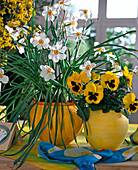 Narcissus jonquilla (poet's daffodils)
