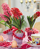 Hyacinthus orientalis