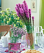 Flower stems placed in coloured water, from left: Verbena