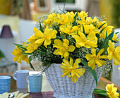 Tulipa hybr. 'Monte Carlo' (Gypsophila) Veilwort