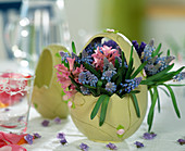 Vase in egg shape with Muscari (grape hyacinth), Hyacinthus