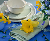 Serviette dekoriert mit Narcissus, Gräser und Bändern