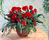 Red tulips and carnations 'Firequeen'