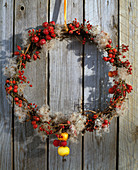 Wreath in autumn with rose hips, ornamental apples and clematis fruit stands