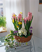 Bowl with Hyacinthus orientalis, Narcissus