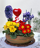 Colourful planted bowl with heart plug