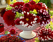 Schale mit Dahlia-Hybr. 'Garden Wonder' (rot), 'Duett' (rot-weiß)