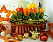 Tulipa-Hybr. (Minitulpen) weihnachtlich dekoriert mit Kugeln und Cornus-Zweigen