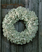 Wreath of Iceland moss on a straw ring