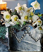 Helleborus niger (Christmas rose) in silver vase with Juniperus juniper branches)