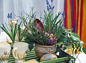 Tin egg planted with Muscari (grape hyacinth)