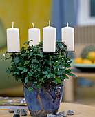 Candle holder made of iron with Hedera (ivy)