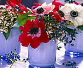 Anemone coronaria (crown anemone), viburnum flowers and berries