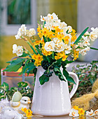 Narcissus hybr. (daffodils with double and double flowers)