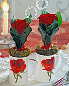 Rose in Blattmanschette aus Aralienblätter (Fatshedera auf)