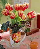 Tulipa (Tulpen-Hybr, Hedera (Efeu)