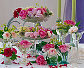 Shelves made of glass bowls and various glasses