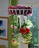 Flowers drying, hanging upside down, roses, Achillea