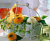 Iron tray with small tin vases, Helianthus (Sunflower)